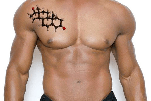 красив мъжки торс